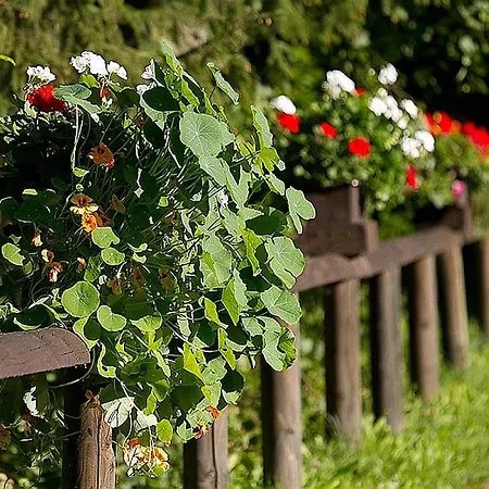 Haus 1 - Typ A Apartment